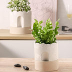 Nihow Self Watering Plant Pot: 6 Inch Ceramic Planter with Drainage Hole & Water Storage Plus - Relief Design Self Watering Pot for Indoor Plants - Beige & Nature Flower Pot