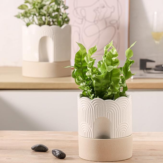 Nihow Self Watering Plant Pot: 6 Inch Ceramic Planter with Drainage Hole & Water Storage Plus - Relief Design Self Watering Pot for Indoor Plants - Beige & Nature Flower Pot