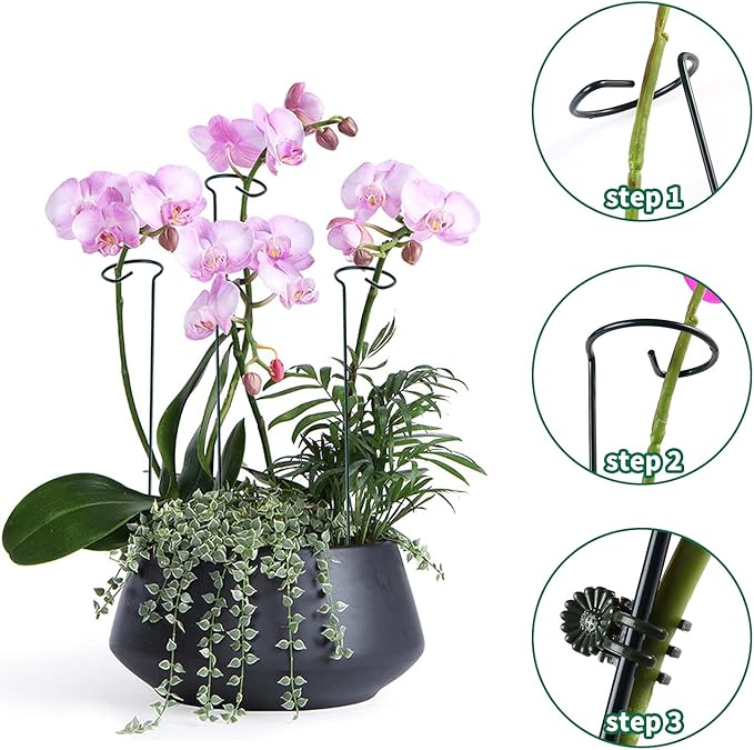 20 Pack Plant Support Stakes with 24 Pcs Plant Clips, Garden Single Stem Support Stake, Plant Cage Support Ring for Indoor Outdoor Flowers Rose Amaryllis Tomatoes Peony Lily Orchid (24 Inch)