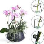 6 Pack Plant Support Stakes with 24 Pcs Plant Clips,Single Stem Support Stake Plant Cage Support Ring for Garden Flowers Rose Tomatoes Peony Lily Rose Herbs Vegetable (16 Inch)