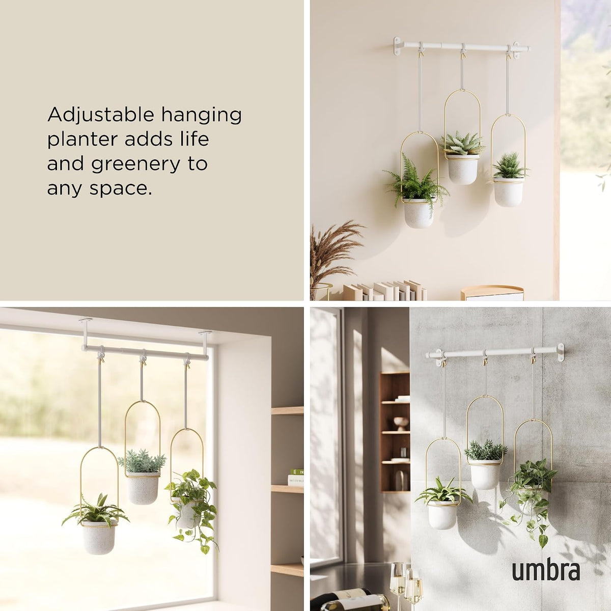 umbra triflora hanging planter, indoor herb garden, set, side view
