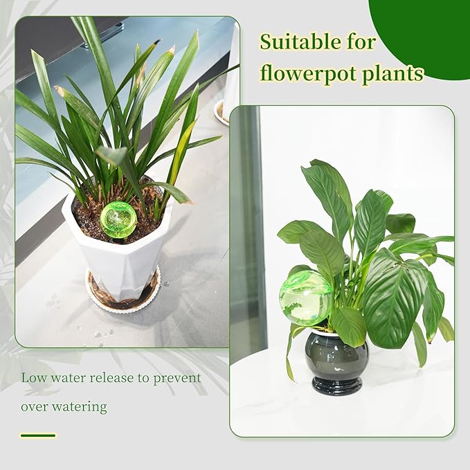 6pcs Large Plant Self Watering Globes, 17.5 oz Plastic Water Bulbs Top Fill, Plant Watering Devices System Slow Release Terracotta, Water Spikes Stakes for Indoor(6pack)