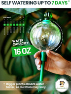 16 Oz Plant Watering Globes for Indoor Plants with Metal Self Watering Planter Insert - Premium XL Glass Hand-Blown Globe - Automatic Plant Waterer Indoor, Gift Idea for Gardeners [1 Globe, Clear]