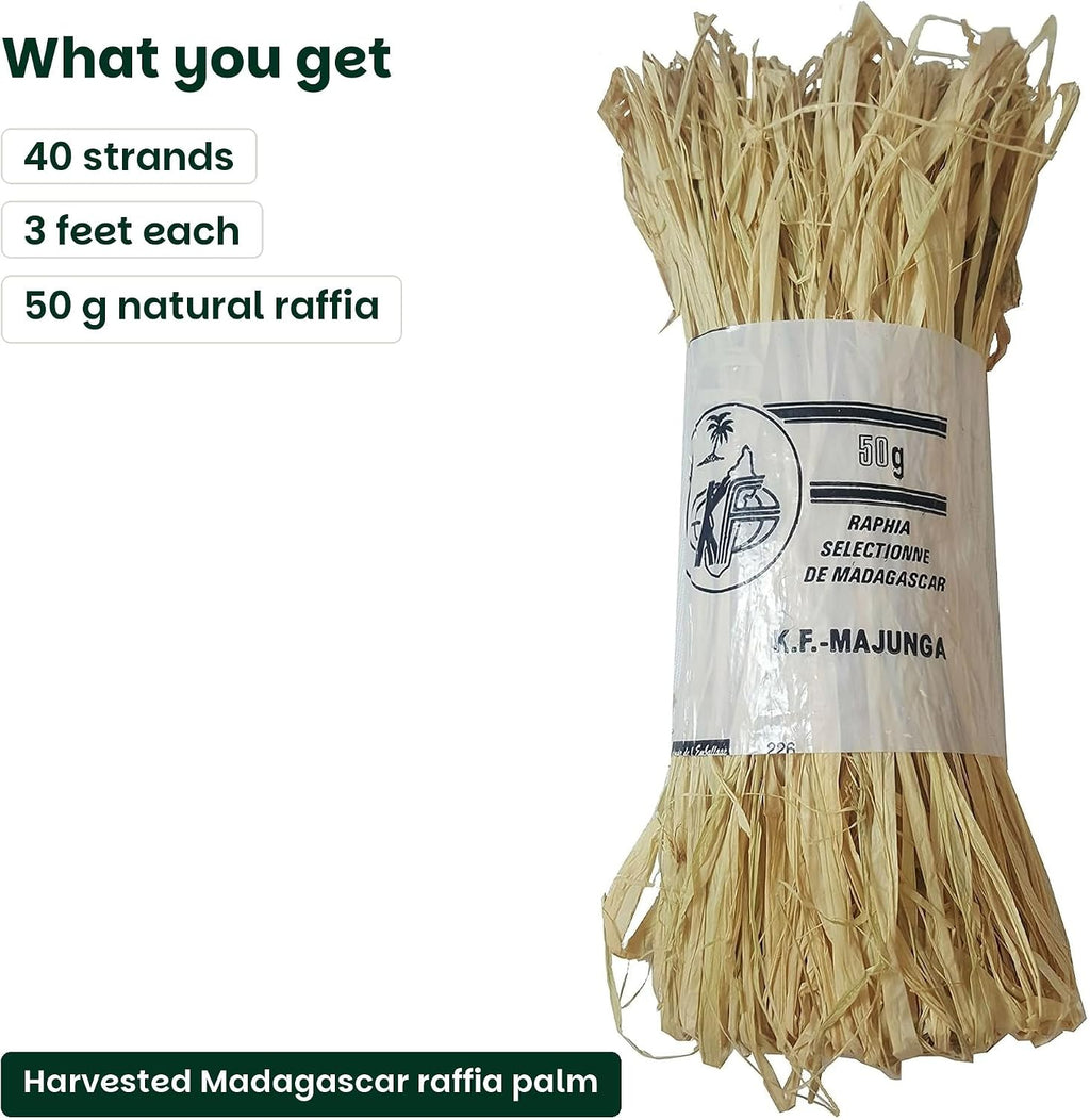 Bonsai Tree Raffia - Bonsai Plant Branch Protection + Bonsai Wiring Aid for All Tree Sizes