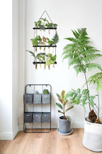 Mkono 3 Tiered Wall Hanging Plant Terrarium with Wooden Stand Mini Test Tube Flower Vase Glass Planter for Hydroponic Plant Cutting Home Garden Office Decor Gift