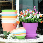 Tergy 50 Pack 4 Inch Plant Pots Bulk Small Plastic Planters Pots with Drainage Holes Flower Pot for Succulent, Cactus, Herb, African Violet (50pcs-Multicolor, 4Inches)