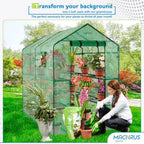 machrus ogrow walk-in portable greenhouse, outdoor indoor grow on a desk or shelf