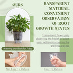 Self Watering Pots for Indoor Plants with Deep Reservoir and High Drainage Holes for Outdoor Plants and Flowers, Bare Root Planter(4.72'',Clear,9 Pcs)