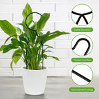 4 Pcs Small Metal Trellis for Potted Plants,Gold Trellis for Climbing Plants Indoor,Mini Trellis for Potted Plant Support Stake House Plant Trellis for Garden Potted,Hoya,Pothos,Flower,Monstera(Black)