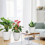 Planters for Indoor Plants, 8/7/6.5/6/5.5/5 Inch Self Watering Planters with Drainage Hole, Plastic Planters Flower Pots for Indoor Outdoor Plants (Matte White)