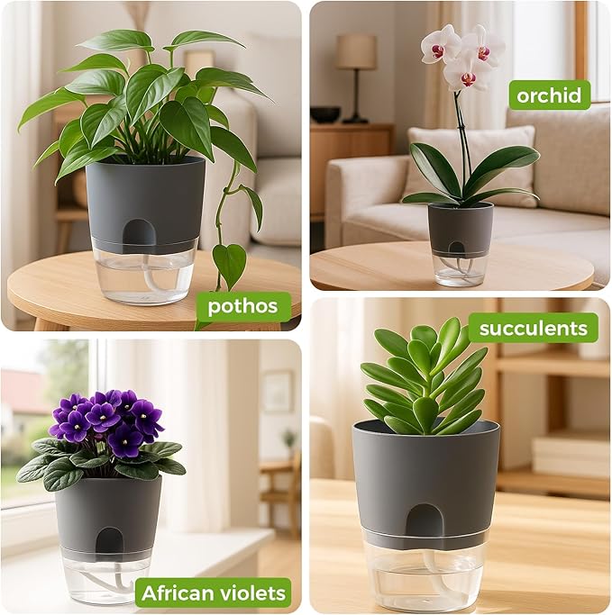 3 Pack Self Watering Pots for Indoor Plants, PlanterHoma 6 Inch Plant Pot Plastic Self Watering Planter for Orchid, African Violet, Small Clear Flower Pots with Drainage Holes and Wicking Rope, Grey