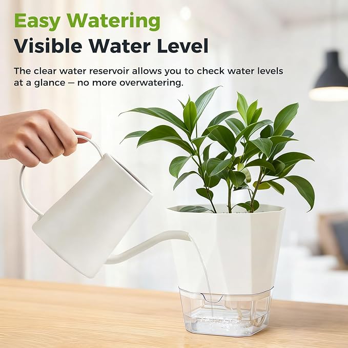 6 Pack Self Watering Plant Pots 6 Inches Self-Watering Planters for Indoor and Outdoor Plants African Violet Succulent Pots Clear Pot for Plants Large Herb Orchid Flower Houseplant Plant, White