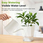 12 Pack Self Watering Plant Pots 6 Inches Self-Watering Planters for Indoor and Outdoor Plants African Violet Succulent Pots Clear Pot for Plants Large Herb Orchid Flower Houseplant Plant, White