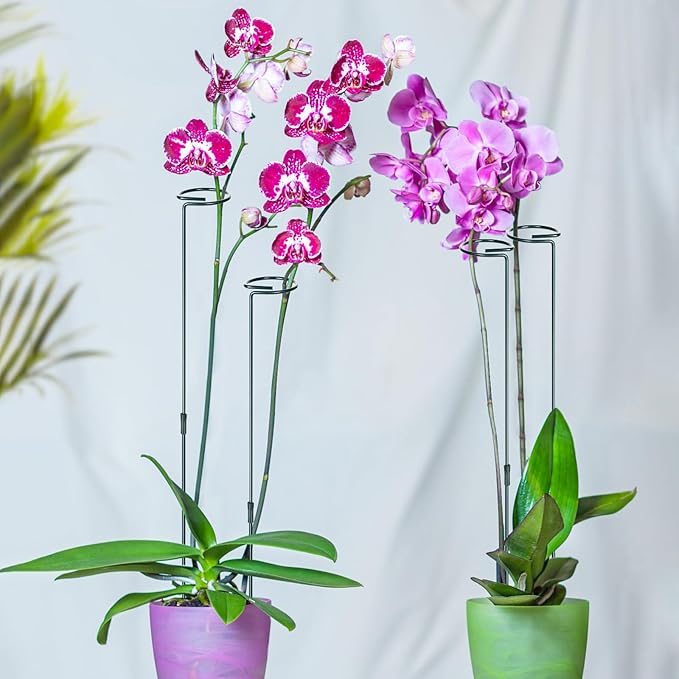 Mwellewm 6 Sets Plant Stakes 12/25/36 Inch Adjustable Plant Support Stakes Tall for Indoor Outdoor Plant Holder Stick Steel Garden Stem Pole Amaryllis Stakes with 30 Clip for Tomato Orchid Lily Flower