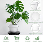 Tebery 50 Pack Clear Plastic Plant Saucer Drip Tray for Pots, 6 Inch Deep Flower Pot Saucers Water Catcher Tray Watering Trays for Plants Indoors and Outdoor