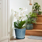 10 Inch Plant Pot - Ceramic Planter for Indoor Outdoor, Round Flower Pots with Drainage Hole and Saucer, Modern Decorative Planter for Plants, Home Office Decor, Plant Lover Gifts, Blue