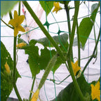 Green Polypropylene Garden Trellis Netting 6.5x100 ft, Heavy Duty Plant Support Net for Climbing Vegetables, Fruits & Flowers