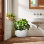 Large Bonsai Pots - 13 Inch Ceramic Planter for Indoor Outdoor, Round Plant Pot, Decorative Flower Pots with Drainage Hole, Modern Unique Planters, Garden Decor Home, Garden Gifts, White