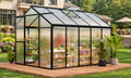 greenhouse, 6x10 ft greenhouse for outdoors, walk-in green, main product view