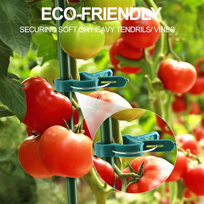 80 Pcs Plant Support Clips,Flower and Vine,Garden Tomato Plant Support Clips for Supporting Stems,Vines Grow Upright Climbing,Tool for Straightening,Tomato Cage,Trellis. 2 Sizes in one Pack