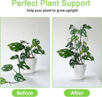 4P Plant Trellis for Potted Plants, Larger 23in Garden Trellis for Climbing Plants Indoor Outdoor, Rustproof House Plant Support Stakes for Pothos Hoya Ivy Flower