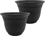The HC Companies Sierra Round Self-Watering Pot - Lightweight Plastic Planter for Herbs & More - Durable Plant Pots for Indoor Plants & Outdoor Plants (10” Black Onyx, Pack of 2)