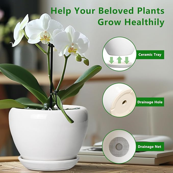 Ceramic Pot for Plants - 6 Inch Plant Pot for Succulent Plants, Glaze Modern Round Planter with Drainage Hole and Saucer, Gifts for Plant Lovers, Home Office Patio Room Decor, White