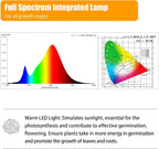 T5 1FT 0.3M 6W×4 Warm Light 3000K Grow Light Tubes,Full Spectrum LED Grow Lights,6W Energy Efficient,Plug & Play,for Hydroponics/Soil Seedlings Vegetables Herbs Flower (4 Packs)