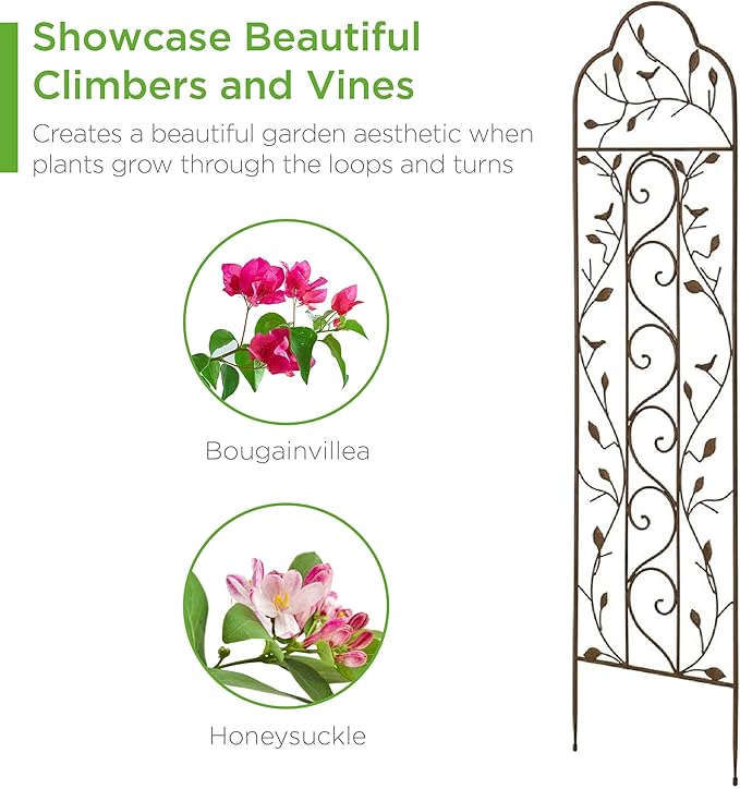 Best Choice Products 60x15in Iron Garden Trellis, Arched Outdoor Decoration w/Branches, Birds for Lawn, Garden, Backyard, Climbing Plants - Bronze