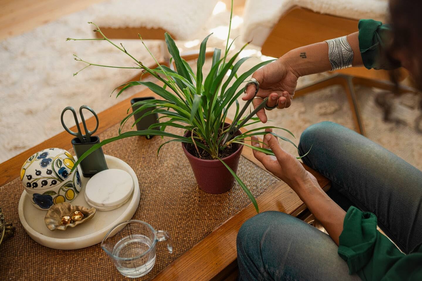 Fiskars Urban Plant Care Small Shears with Holder | For fine cuts on indoor plants, total length 17 cm, stainless steel/plastic, dark green/black, 1075315