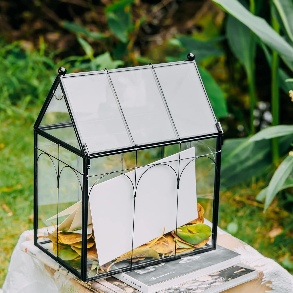 ncyp glass terrarium with lid for cacti, moss shown in use