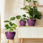 Ceramic Pots for Plants 6 Inch - Ceramic Plant Pots with Drainage Hole and Saucer, Glaze Round Planter for Succulent Plants, Gifts for Plant Lovers, Garden Home Decor, Purple