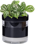 Phoenix Vine 6 Inch Self Watering Terracotta Planter, Black Terracotta Clay Pot with Glass Reservoir for Indoor Plants, Herbs, Flowers, Set of 1, 52-C-F-1