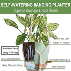 Larege Hanging Planters with Macrame Plant Hangers for Indoor Outdoor Plants 3 Set 10" / 8" / 7" Self Watering Pots Hanging Baskets Flower Pot Holders 3 Different Size Green Large