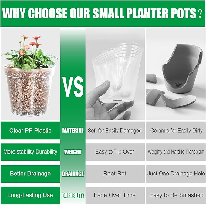 BTPLASTIK 50 Pack 2.5 Inch Clear Nursery Pots for Plants, Sturdy Plastic Plant Pot for Planting Vegetables Flowers Seedlings, Transparent Seed Starter Pots with Drainage Holes, garden, Gardening Gifts