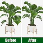 FEED GARDEN 12 Pack Plant Support Stakes, Peony Cages and Supports, Metal Garden Plant Stake(10" Wide x 16" High) Green Half Round Plant Support Rings for Outdoor Indoor Plants, Tomato, Hydrangea