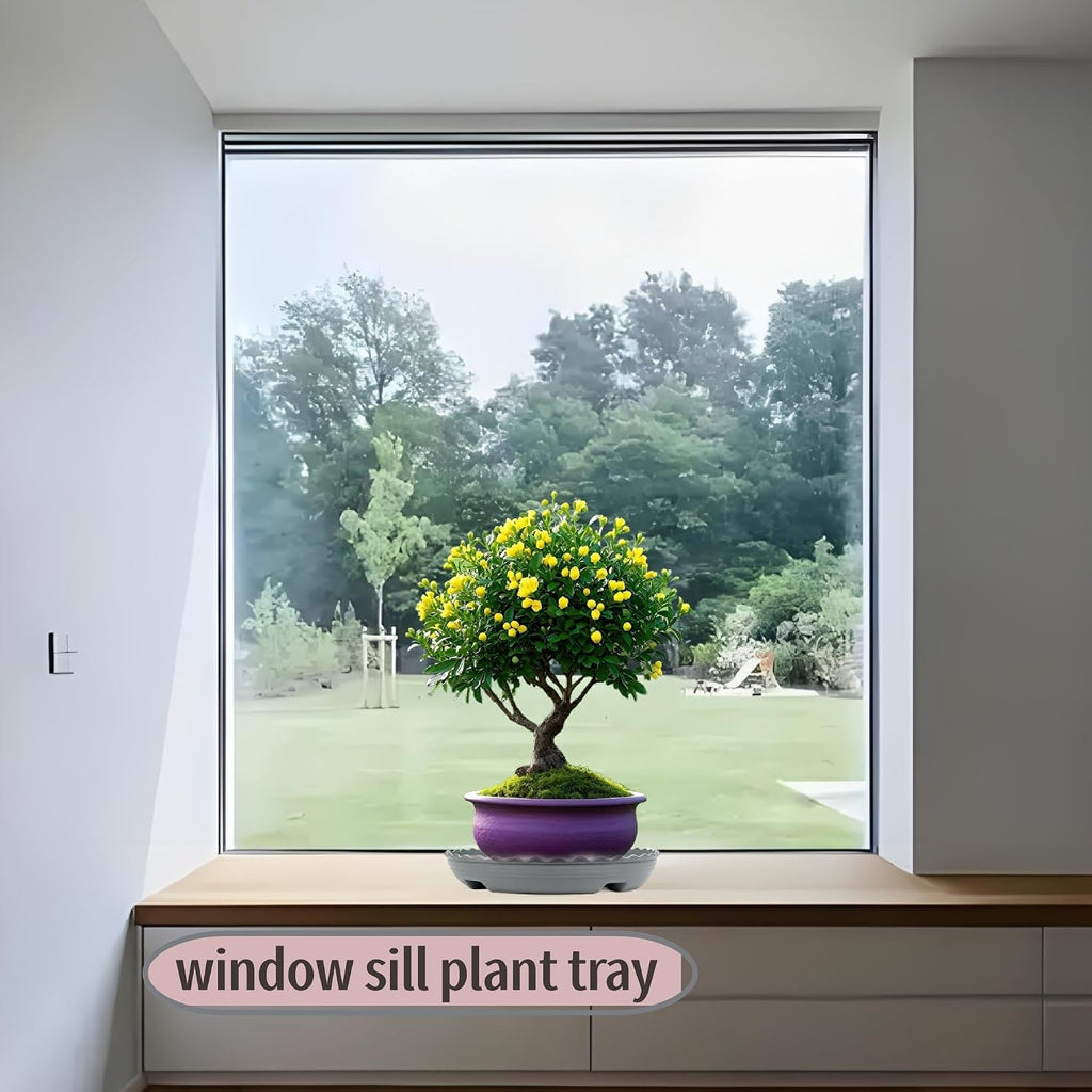 Prettyia Plant Saucer Plant Pot Tray and Plant drip Tray Plant Pot Saucers | Plant Saucers for Indoors and outdoors6 8 10 12 14inch,Plastic Plant Tray Heavy Duty Large Plant Tray Grey