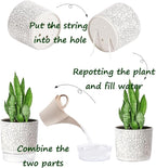 Self Watering Pots for Indoor Plants, 6 & 5 & 4 Inch Stylish Flower Pots, Set of 3 Modern Planters with Self-Watering Feature (Crack Texture)