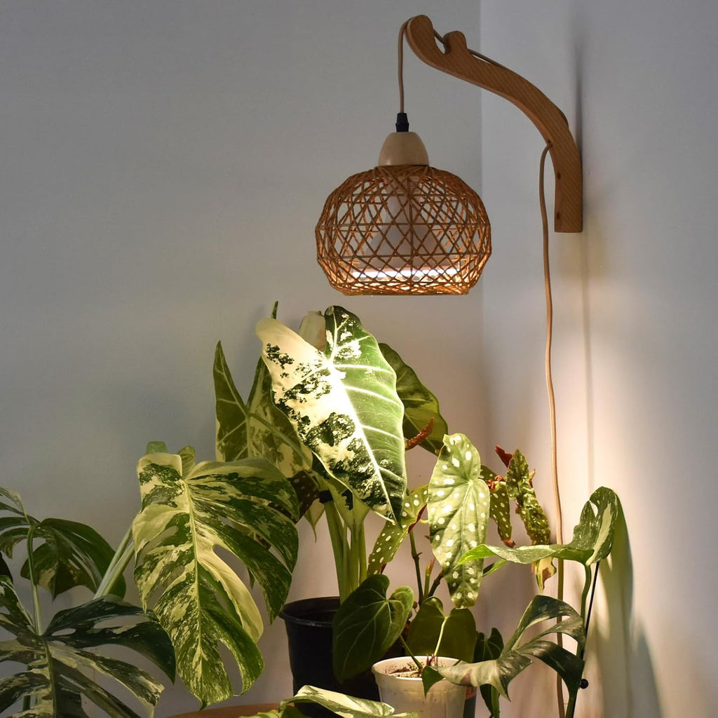 Hanging Grow Lights for Indoor Plants,3800K | 18W Wall-Mounted Decorative Grow Light with Boho Rattan Lantern Shade, 9.8FT Power Cord, for Indoor Plant Growing, Flowers