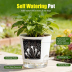 Plant Pots 4/5/5.5/6/6.5/7 Inch Self Watering Pots, 6 Pack Plastic Planters with Drainage Holes and Clear Saucers,Plastic Flower Pots,Nursery Planting Pot for Indoor Out Door Plants(White)
