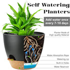 6-Pack Plant Pots with Drainage 5 Inch, Self Watering Pots for Indoor Plants, Planters for Indoor Outdoor Plants, Plastic Flower Pot, Planter for Indoor Outdoor (Black)