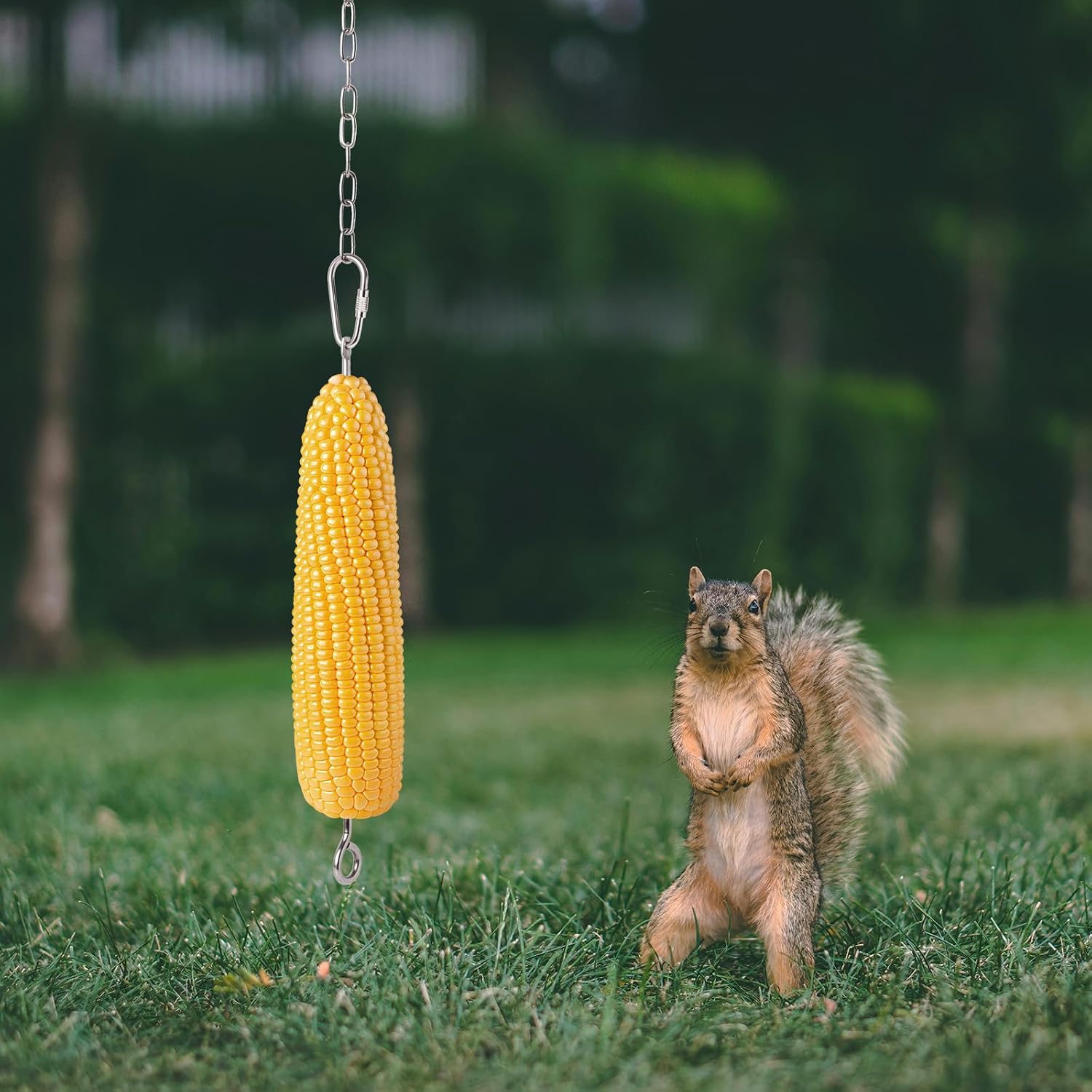 Upgraded 304 Stainless Steel Hanging Squirrel Feeder Outside, Durable Squirrel Feeders for Outdoors, Chipmunk Feeder, Squirrel Food for Backyard Squirrels Hold Corn, Corn Cob(32Inch-1Rod)