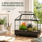 large tall plant terrarium glass – glass greenhouse on a desk or shelf