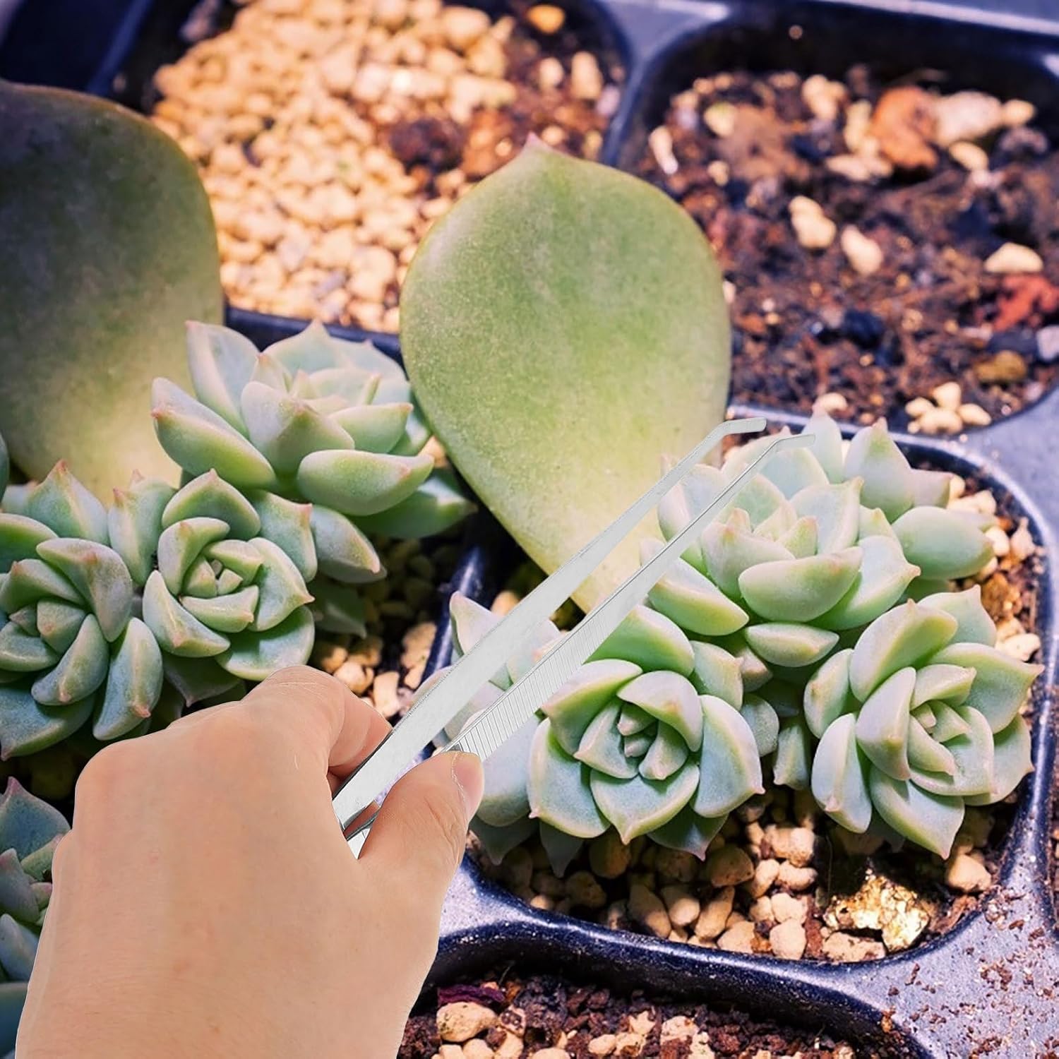 4pcs Gardening Tools Planting Tweezers Succulent Tool Kit Weed Puller for Garden