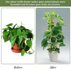 Grevosea 14 Inch Trellis for Climbing Plants Indoor, Plant Trellis Indoor Small Trellis for Potted Plants Honeycomb Metal Pothos Plant Climber Support for Flower Indoor Plants Supports