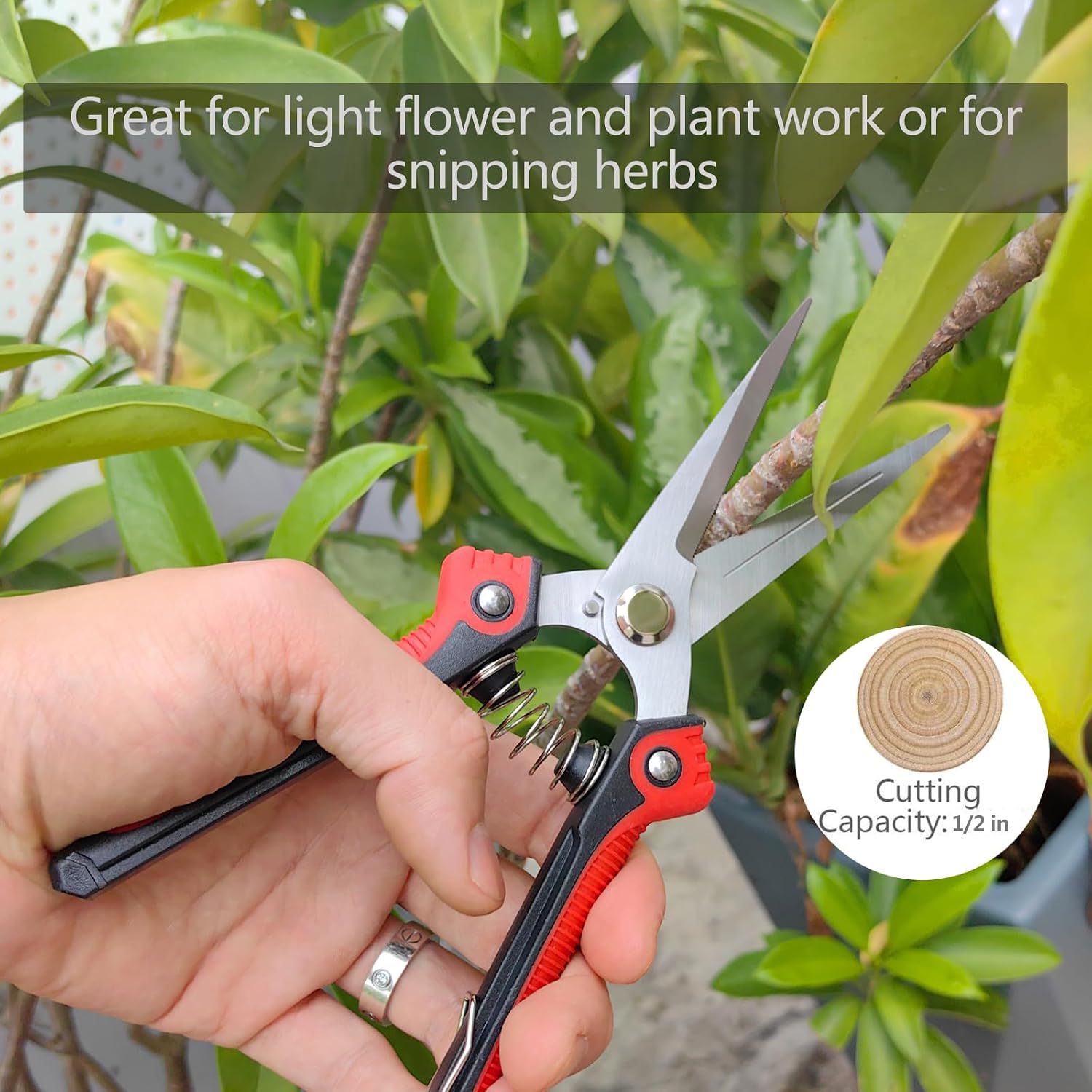 Gardening Scissors Hand Pruner Pruning Shear with Straight Stainless Steel Blades, Flower Cutter Garden Clippers, 8.1 Inch (Red)