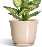 Ceramic Pots for Plants - 5.6 Inch Plant Pot with Drainage Hole and Saucer, Round Orchid Succulent Pots for Indoor Outdoor, Modern Small Planter, Home Office Decor, Gifts for Women, Beige