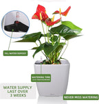 Dexceder 15x14 Self Watering Planter with Wheels Indoor Outdoor, Inner Mat Design, Thickened Large Floor Standing Flower Plant Pot with Water Level Indicator (White Matte)
