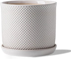 8 Inch Plant Pot: Ceramic Planter with Drainage Hole & Saucer Indoor Outdoor Plants - Flowerpot with Bonded Tray for Home Office - Beaded Embossed Style, Cream White