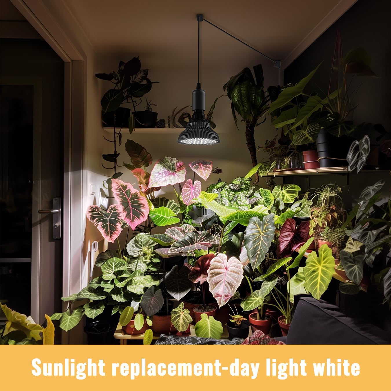 Hanging Grow Lights for Indoor Plants, 25W 5000K, LED Light Bulbs | LED Grow Light, Height Adjustable Pendant, Full Spectrum Plant Lamp with Timer for Tall Indoor Plants, Black